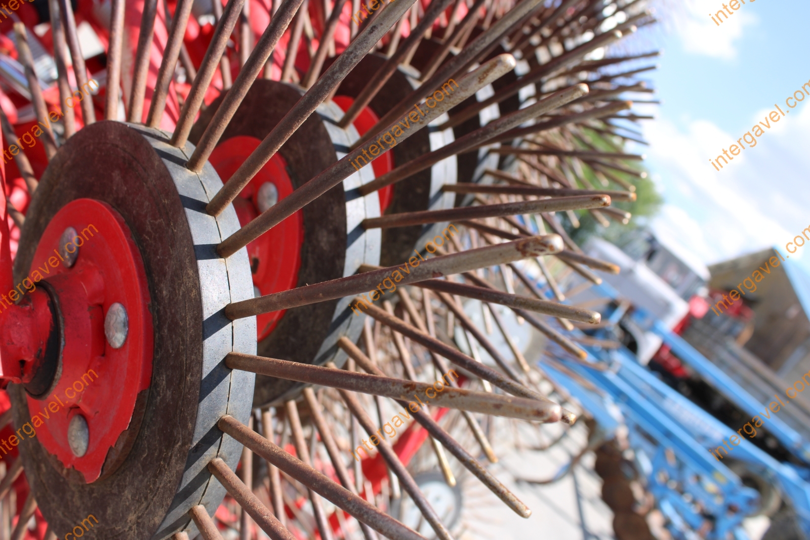 Gyomfésű - Einböck 13