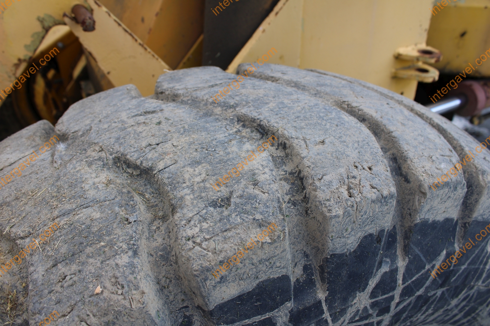 Homlokrakodó - Fadroma 6