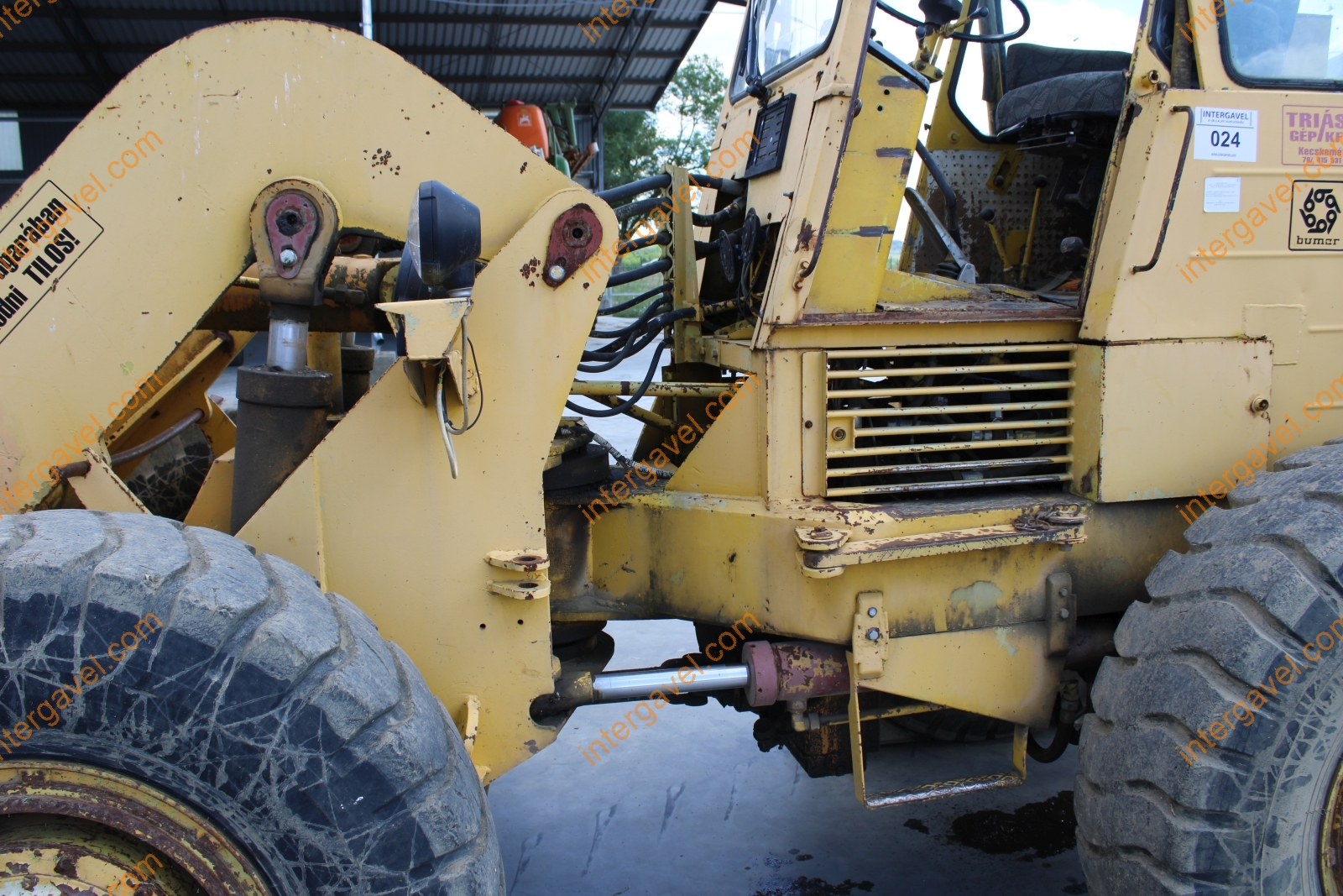 Homlokrakodó - Fadroma 7