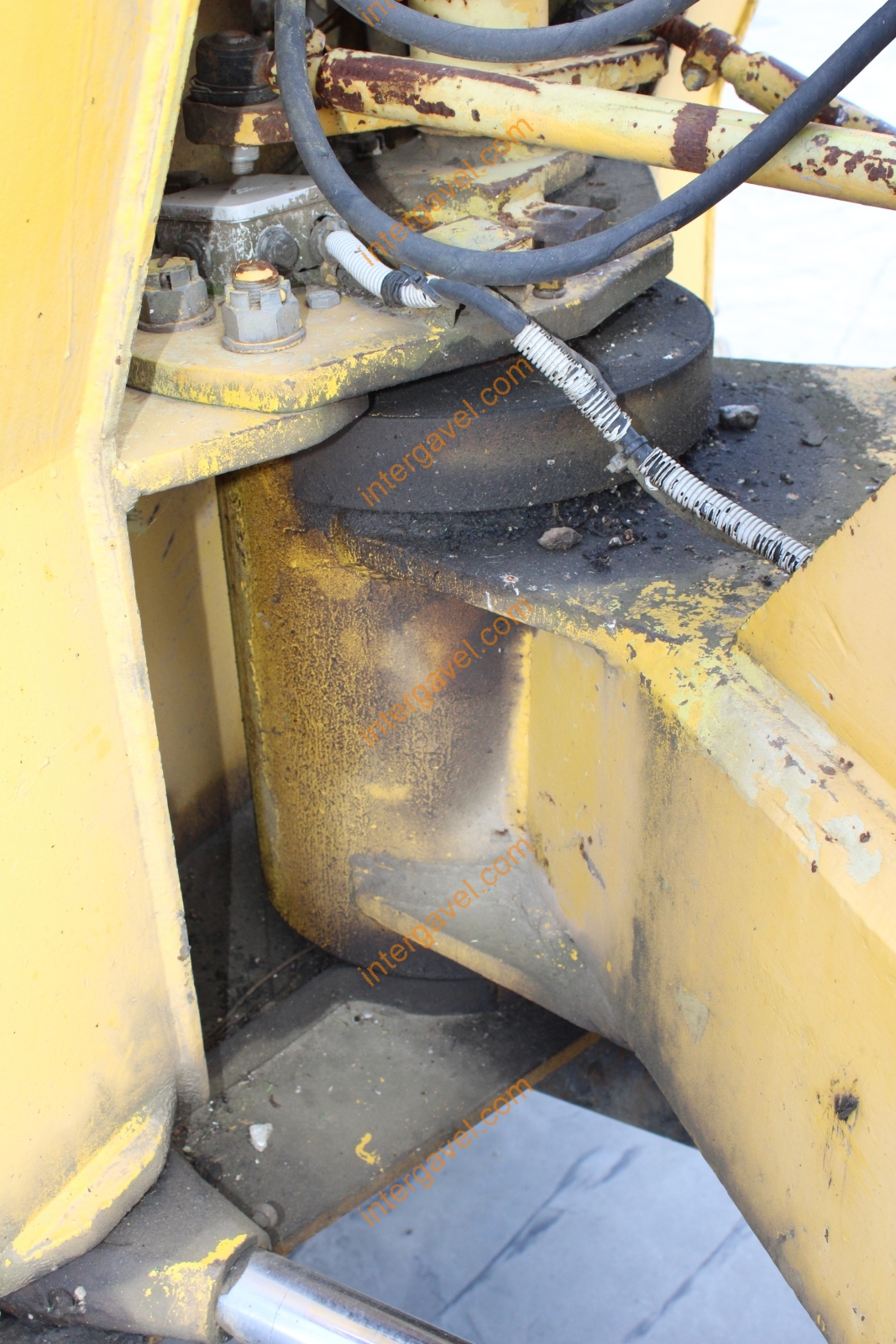 Homlokrakodó - Fadroma 8