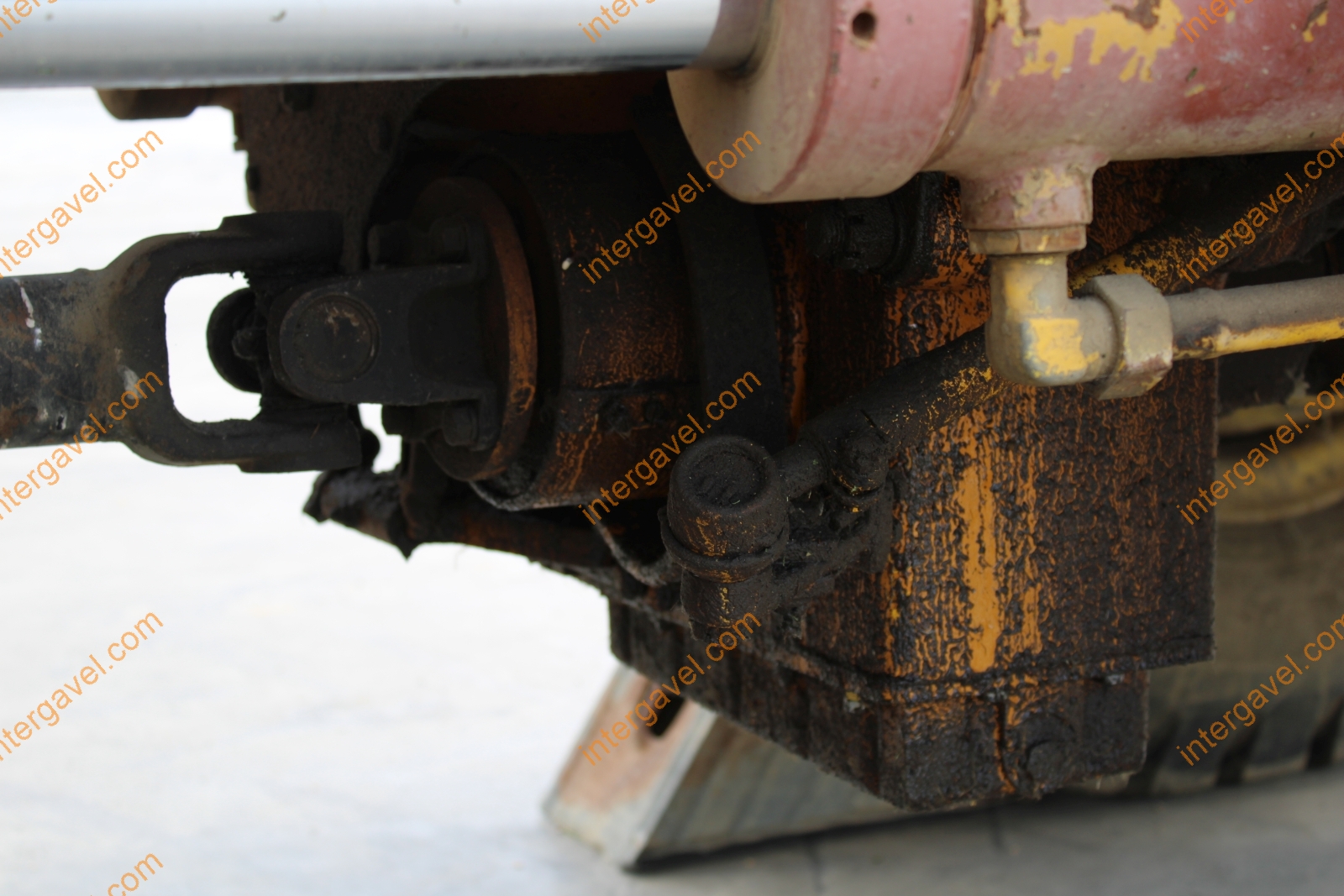 Homlokrakodó - Fadroma 11