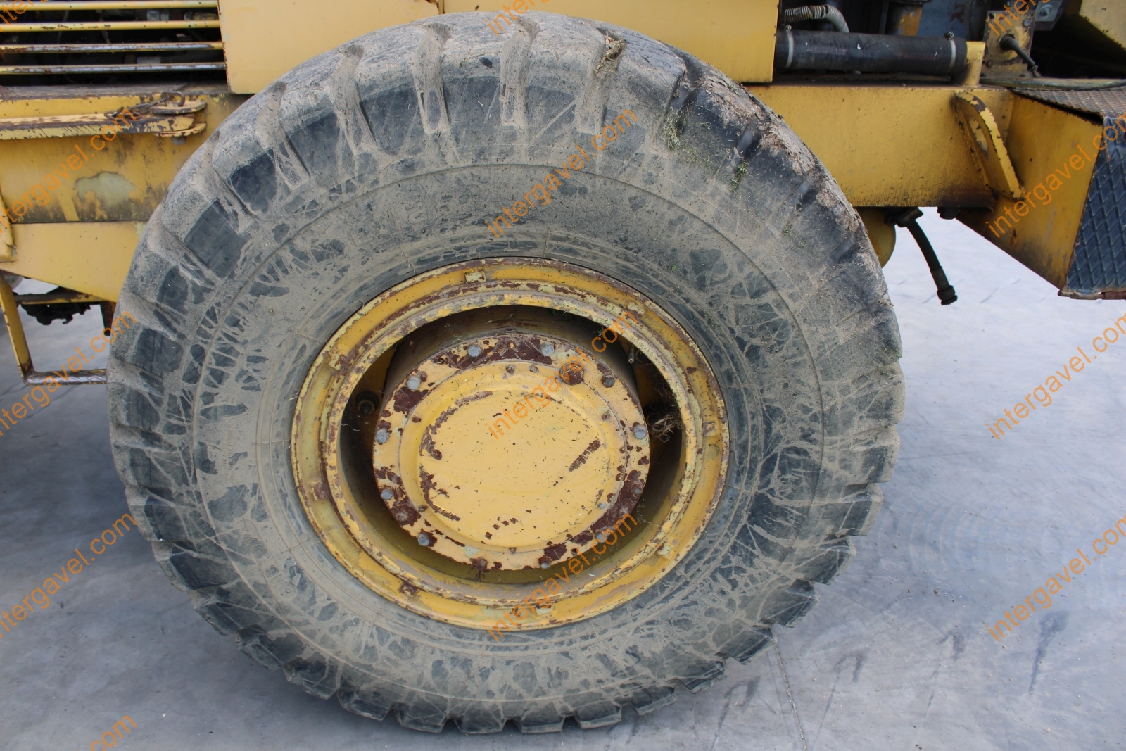 Homlokrakodó - Fadroma 18