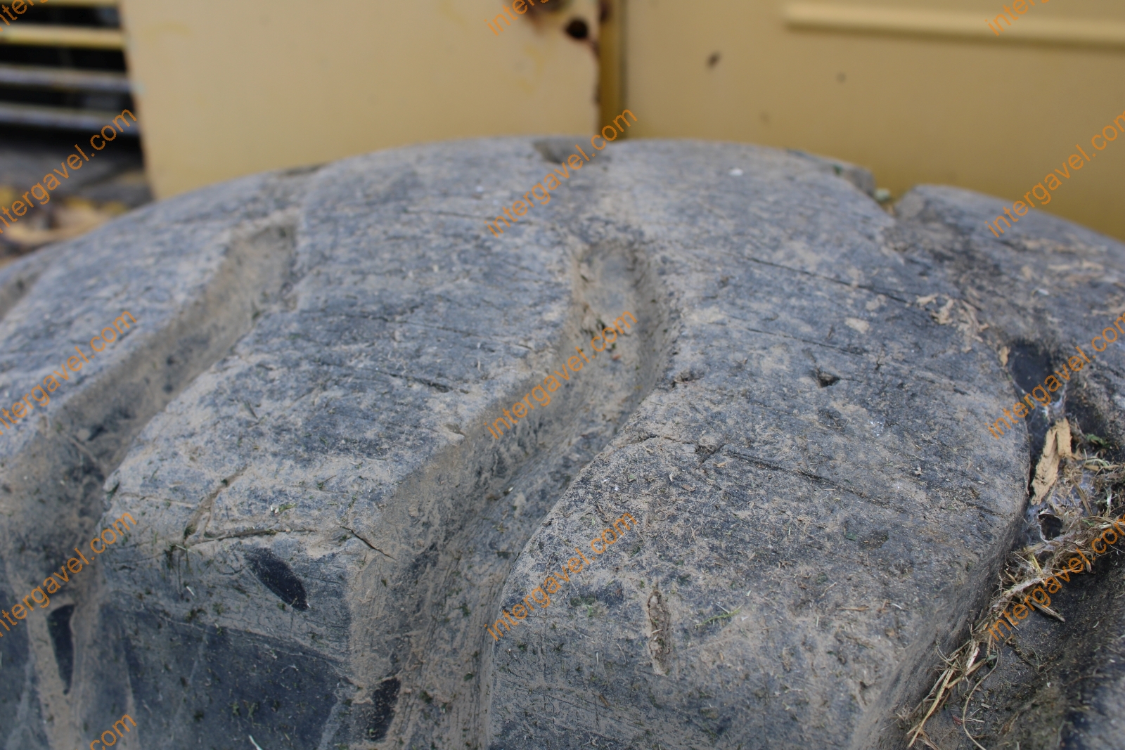 Homlokrakodó - Fadroma 19