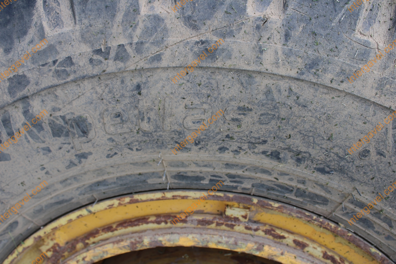 Homlokrakodó - Fadroma 20