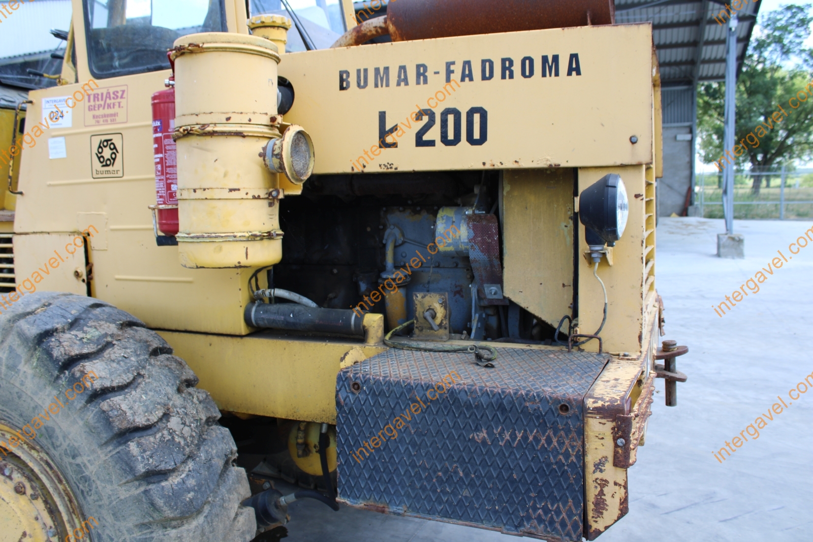 Homlokrakodó - Fadroma 21