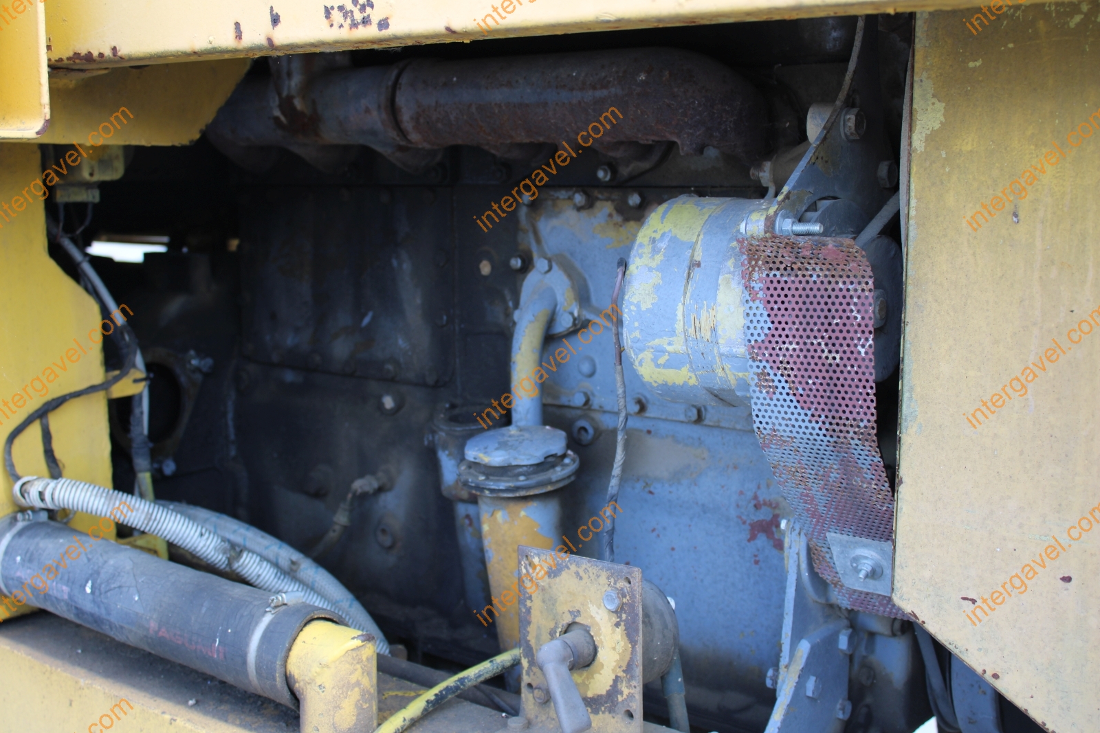 Homlokrakodó - Fadroma 22