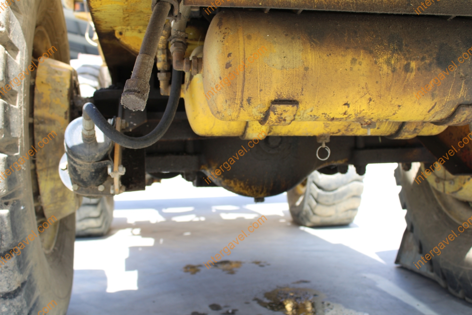 Homlokrakodó - Fadroma 23