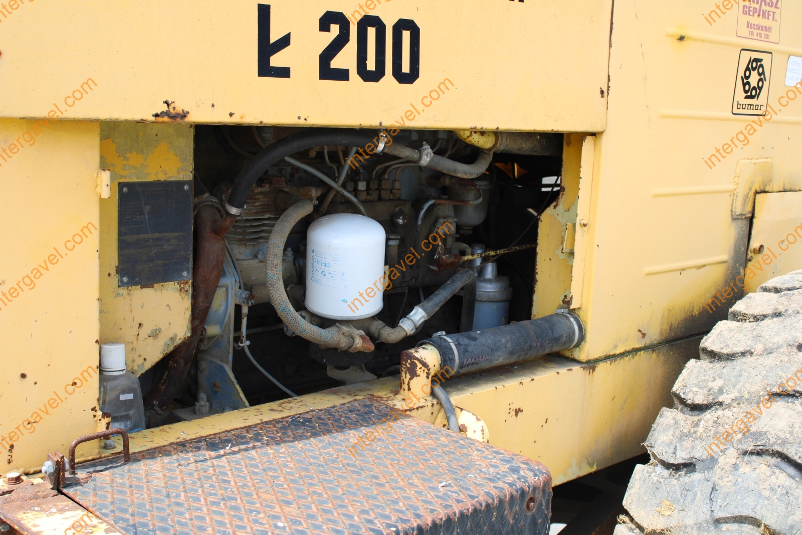 Homlokrakodó - Fadroma 24