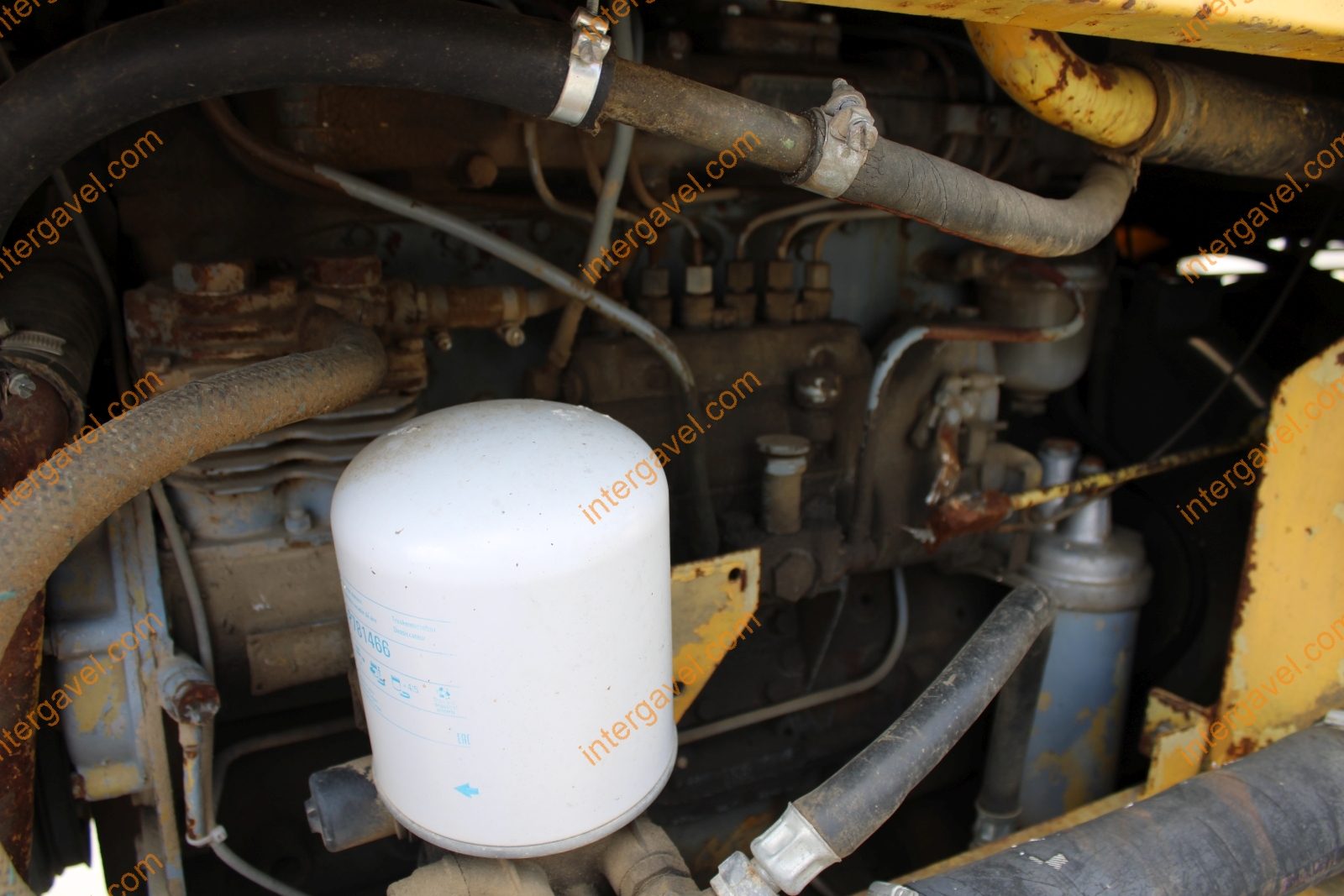 Homlokrakodó - Fadroma 25