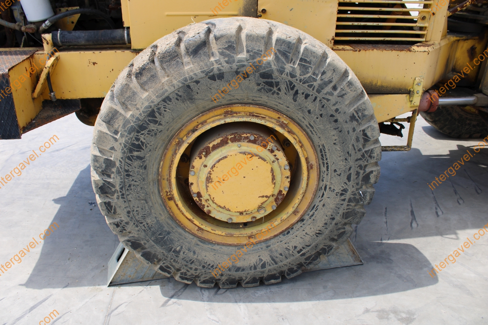 Homlokrakodó - Fadroma 28