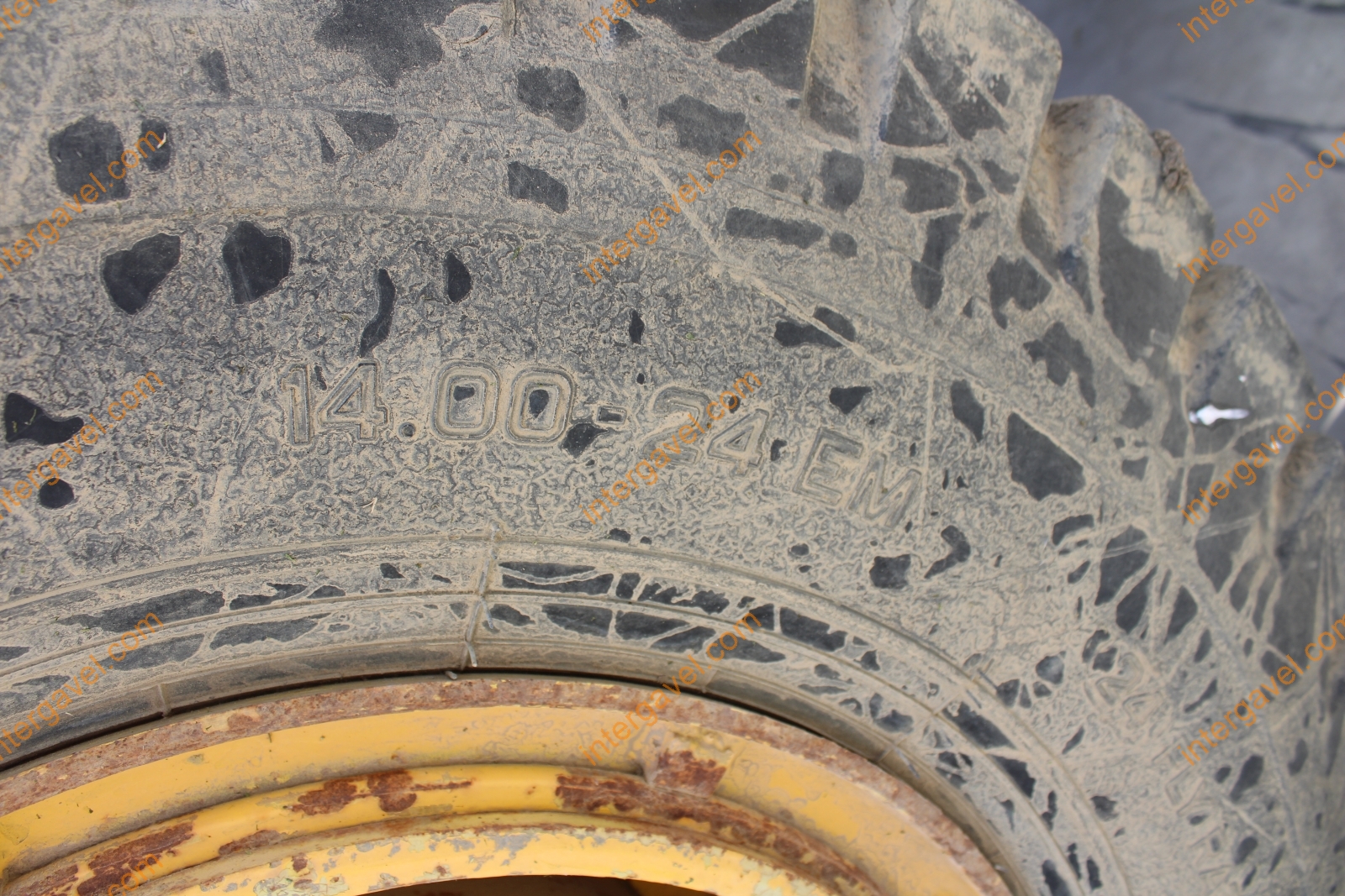 Homlokrakodó - Fadroma 29