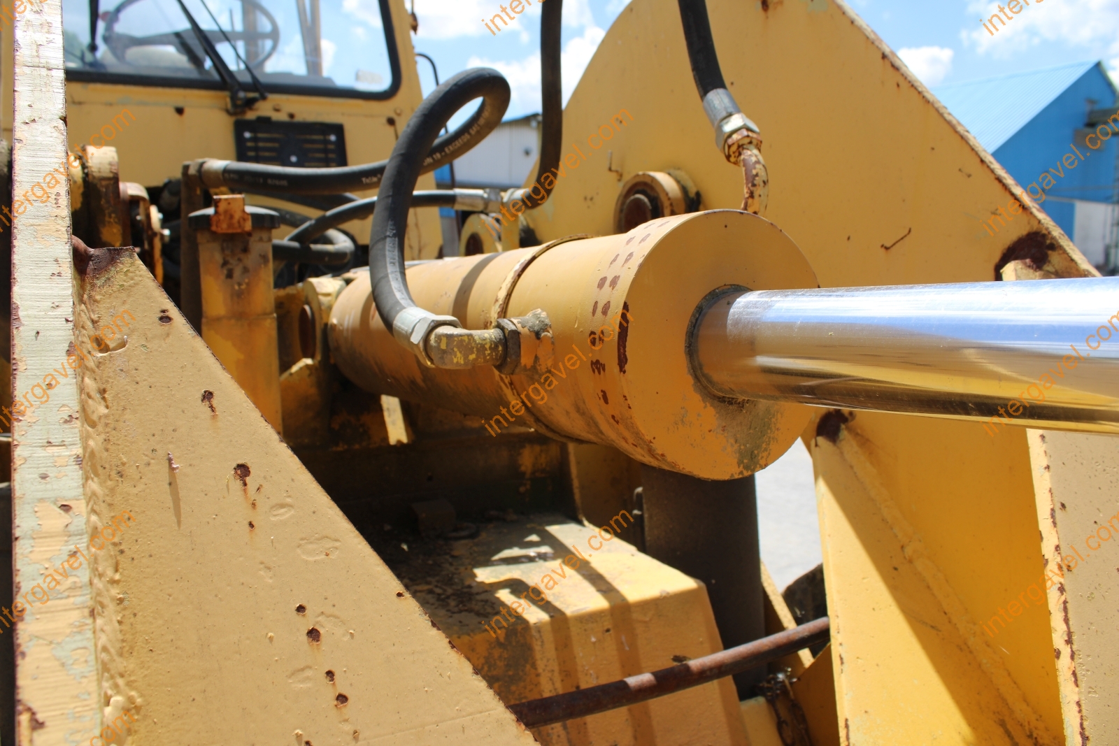 Homlokrakodó - Fadroma 41