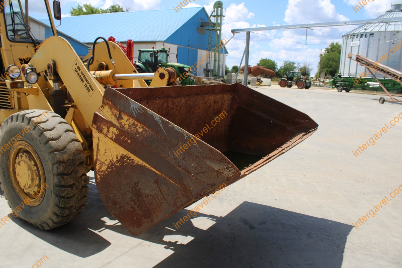 Homlokrakodó - Fadroma 43