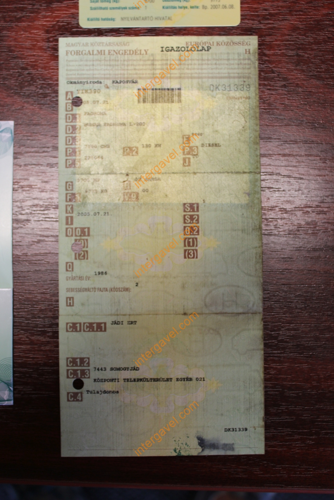 Homlokrakodó - Fadroma 46