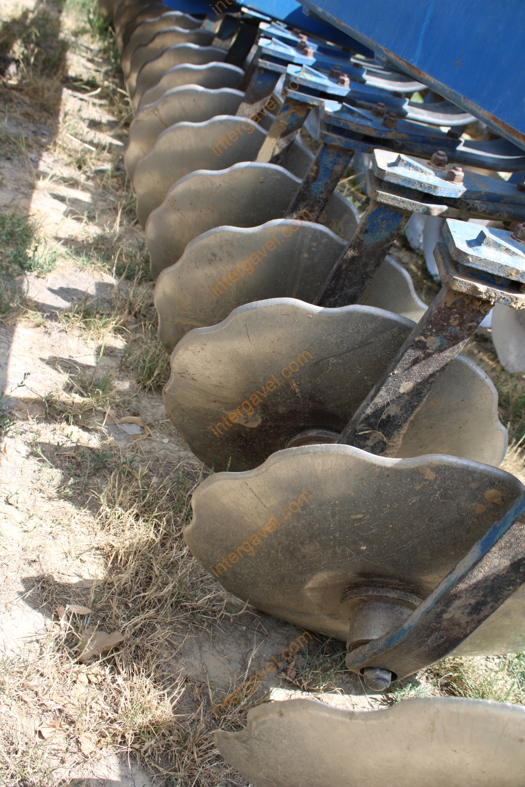 Tárcsa - Köckerling 23