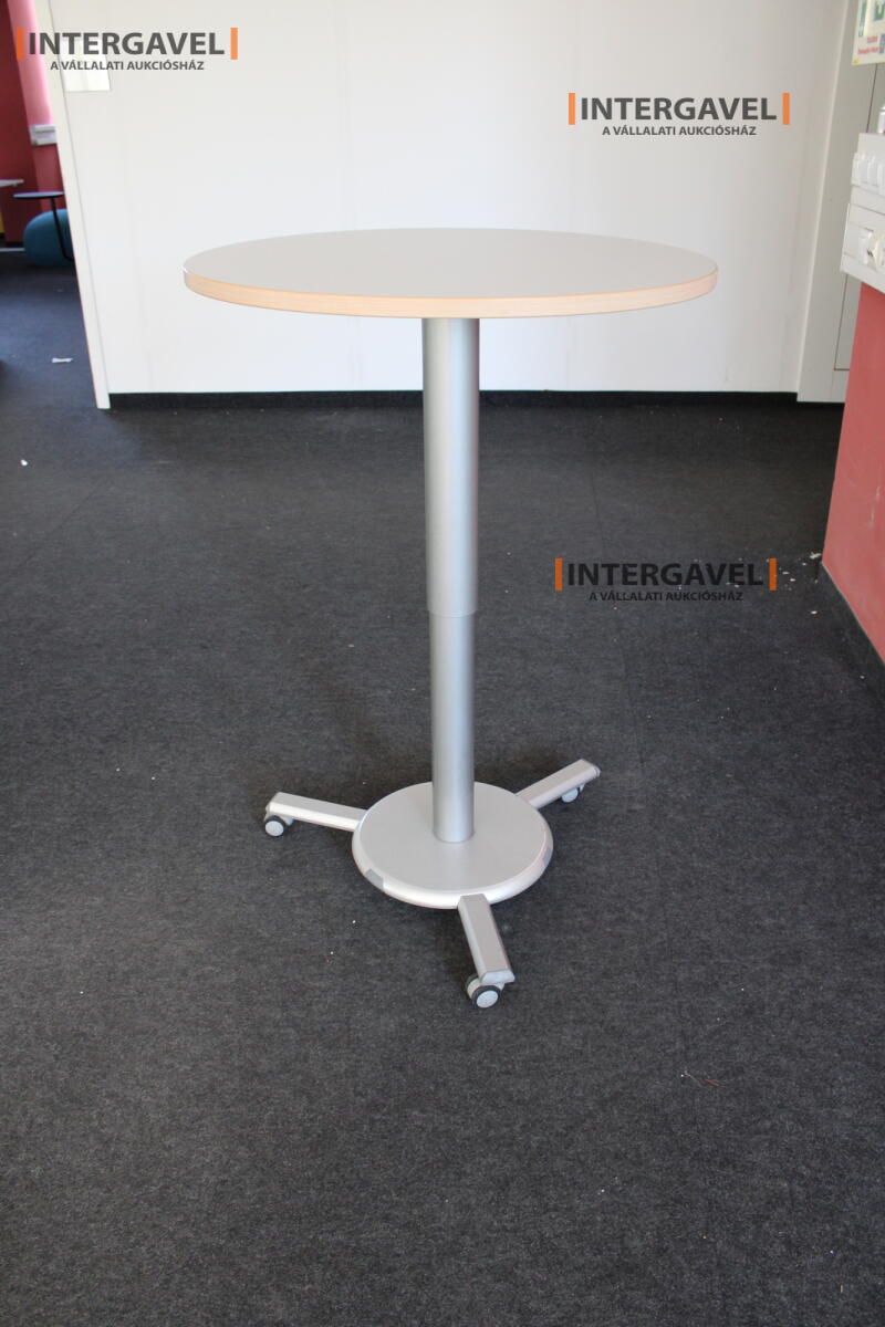 Körasztal (800 mm-állítható magasság) 2