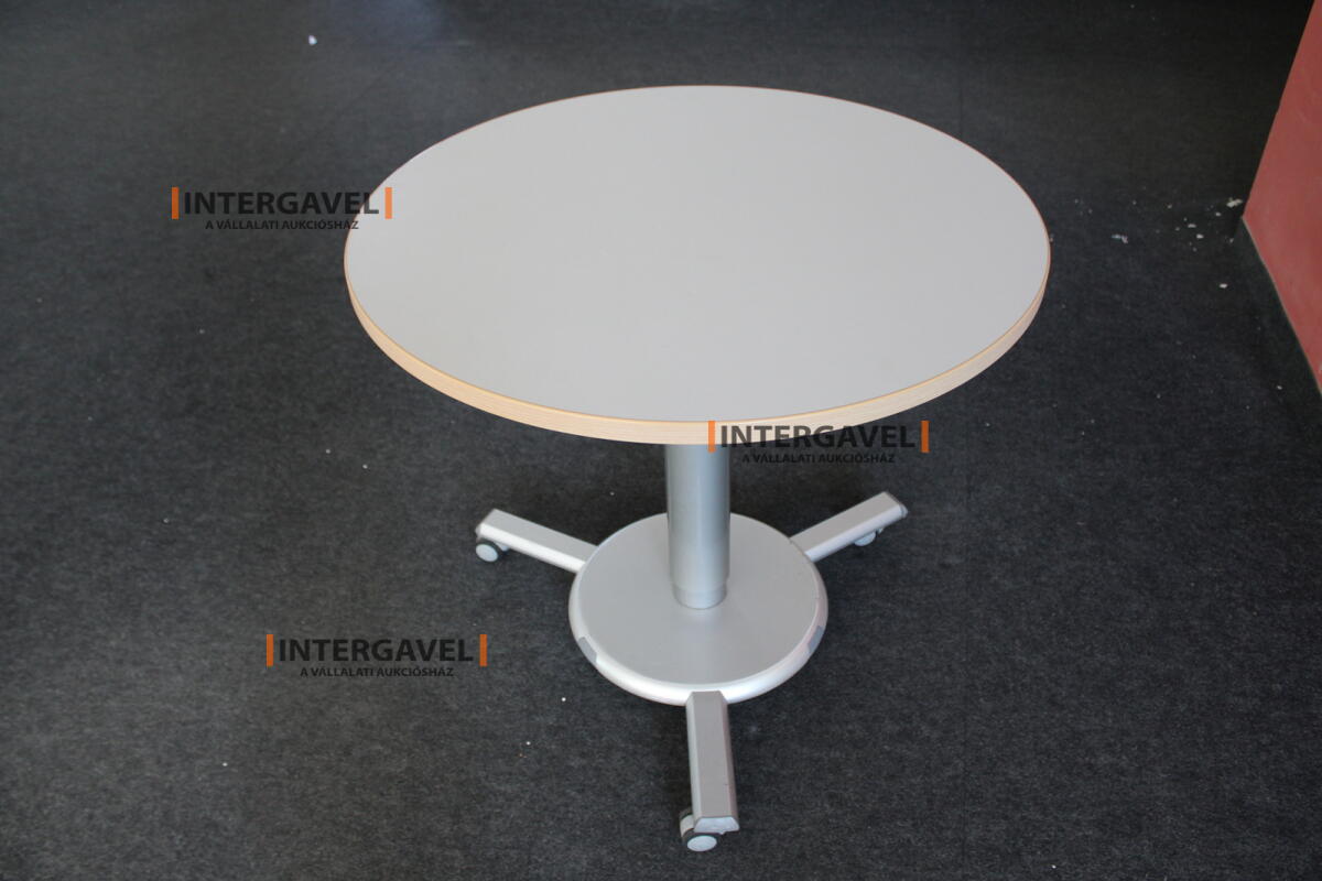 Körasztal (800 mm-állítható magasság)