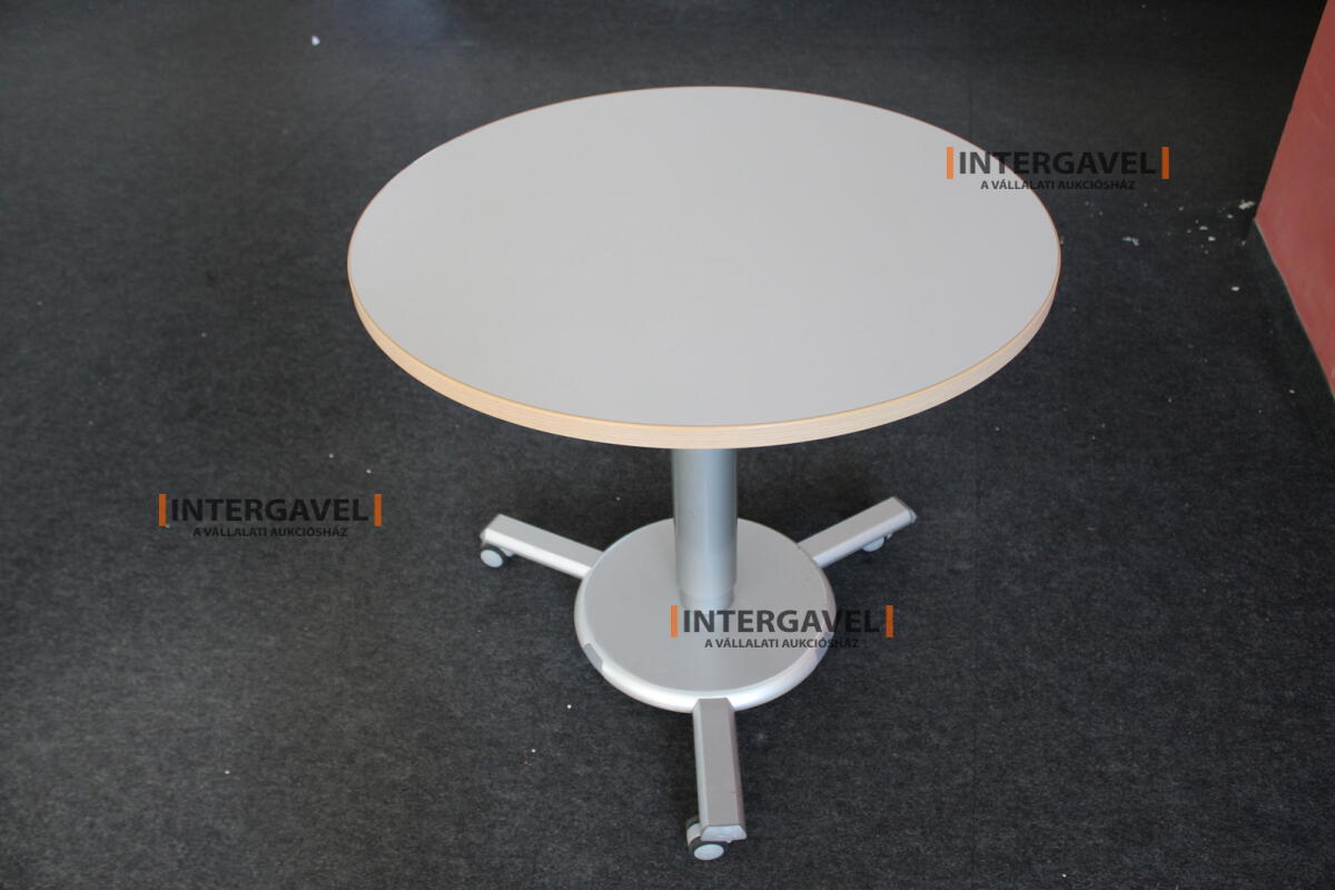 Körasztal (800 mm-állítható magasság)