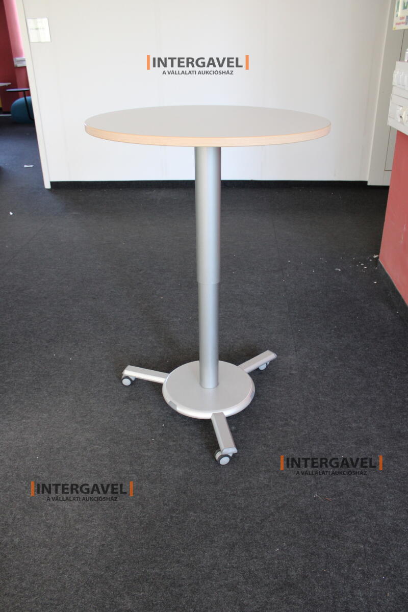 Körasztal (800 mm-állítható magasság) 2