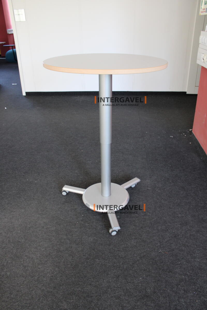 Körasztal (800 mm-állítható magasság) 2