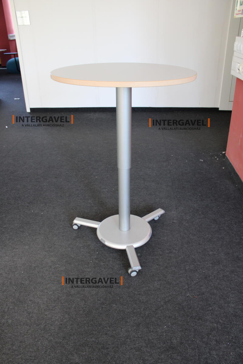 Körasztal (800 mm-állítható magasság) 2