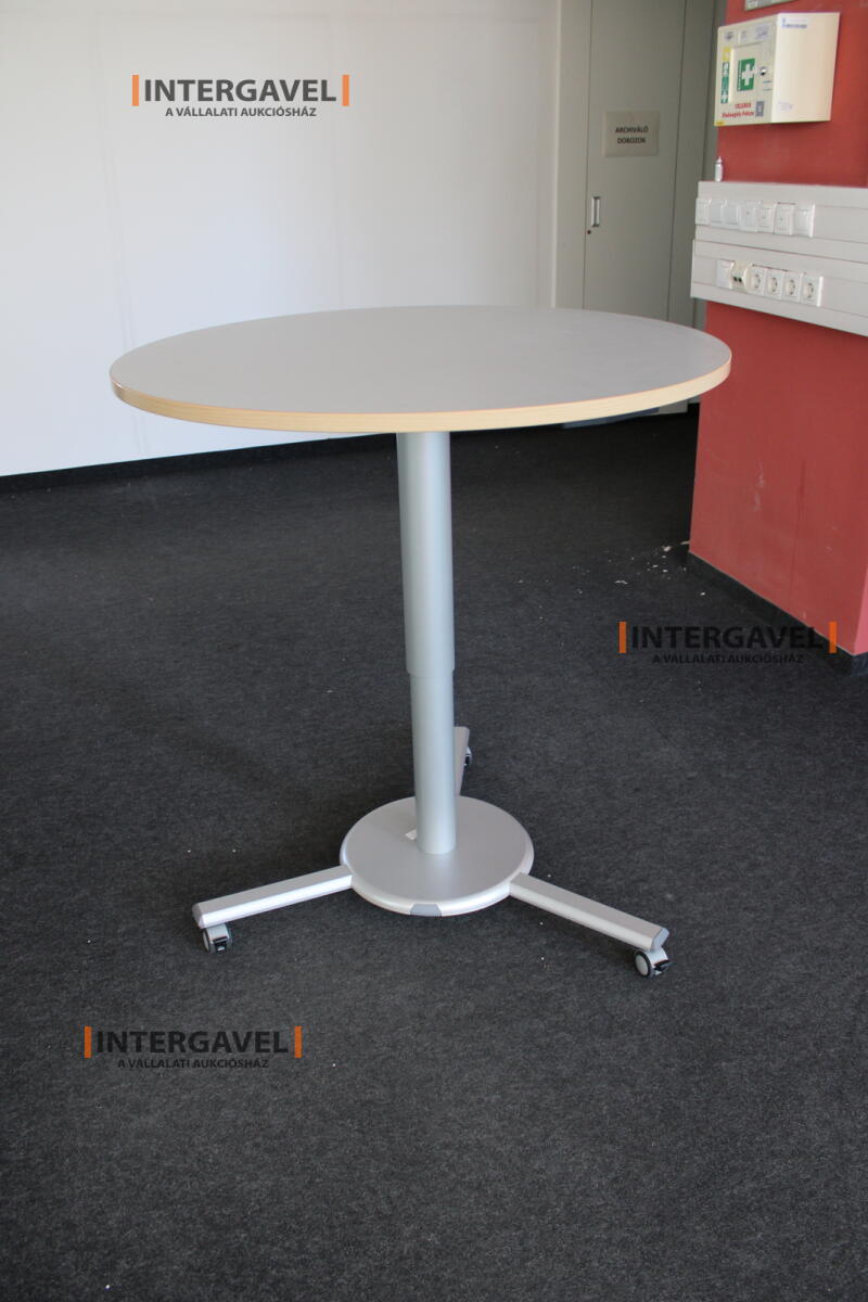 Körasztal (1000 mm-állítható magasság) 2
