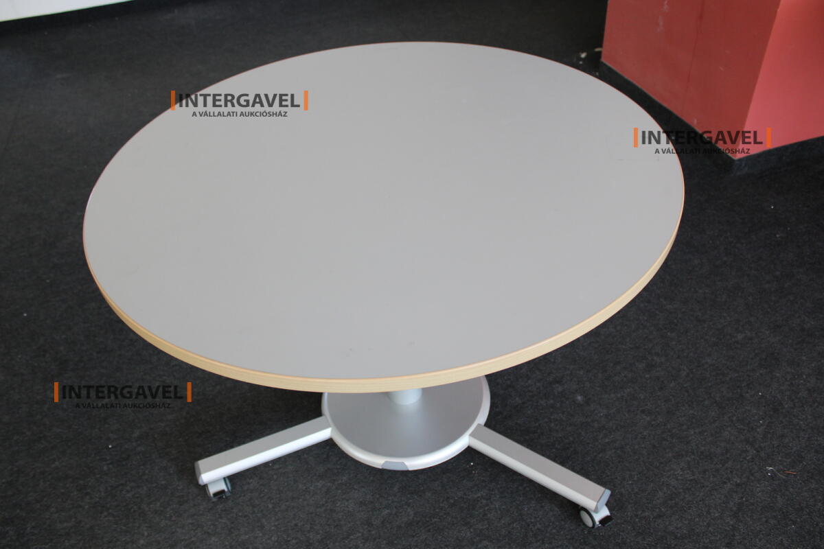 Körasztal (1000 mm-állítható magasság)