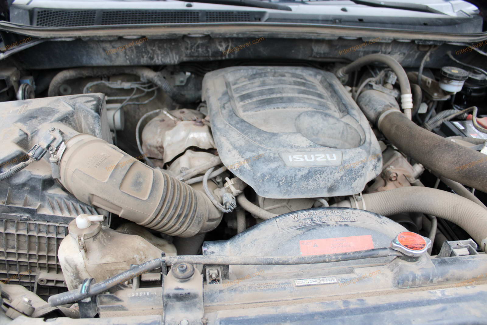 Terepjáró - Isuzu, D-Max 30