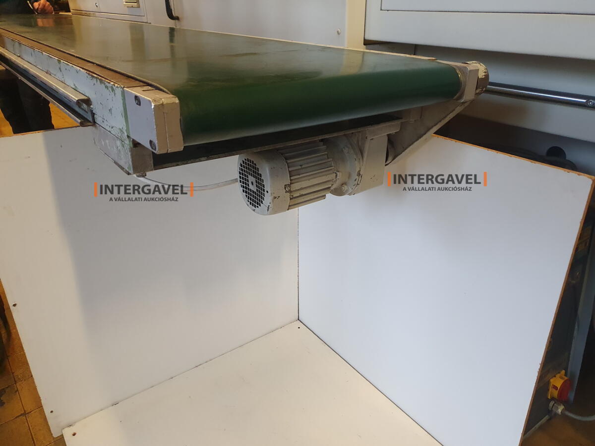 Szállítószalag 50x300 cm, egyenes 3