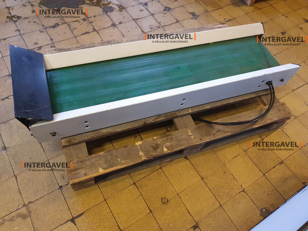 Szállítószalag Arburg 25x120 cm, egyenes