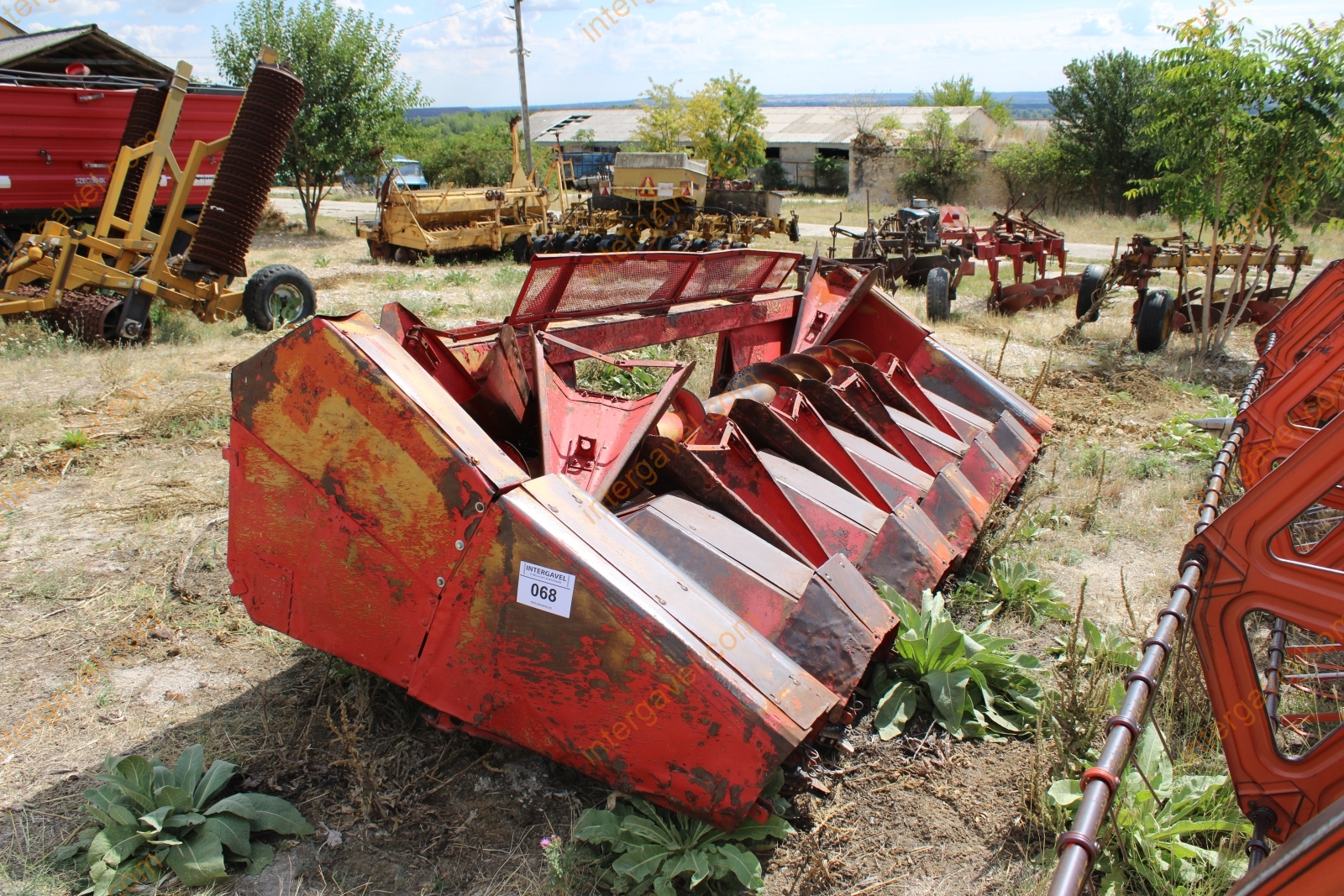 Vágóasztal - Kukorica