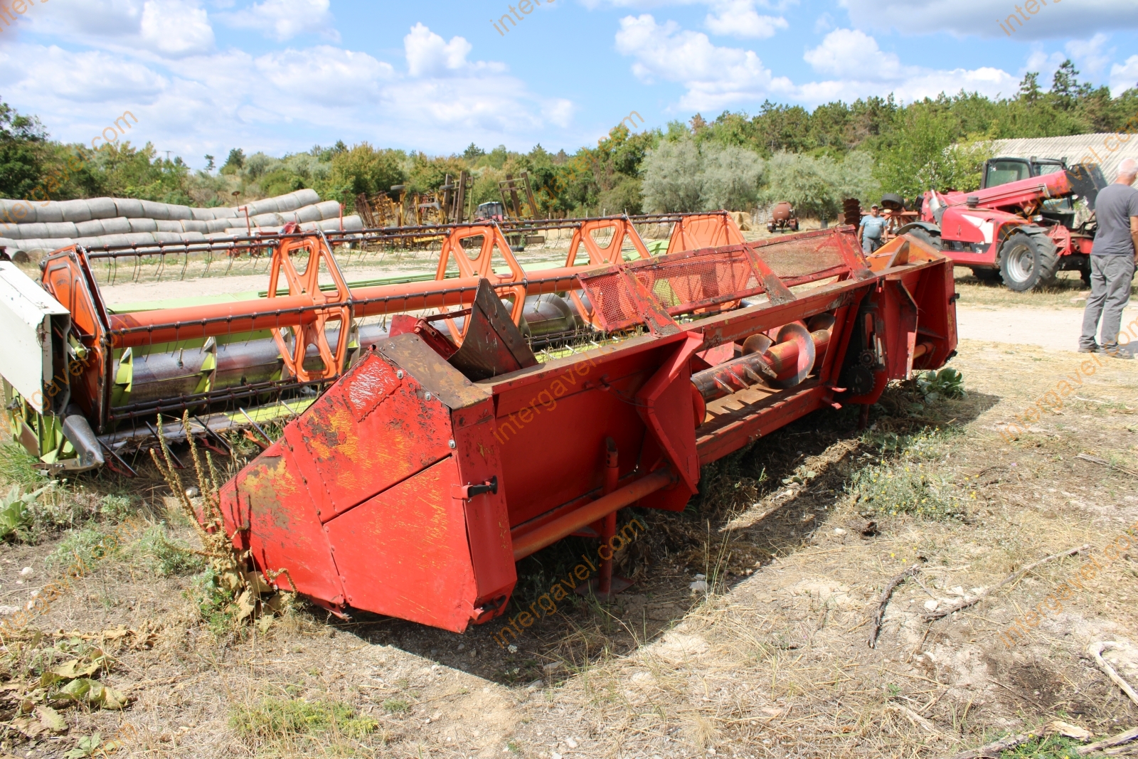 Vágóasztal - Kukorica 3