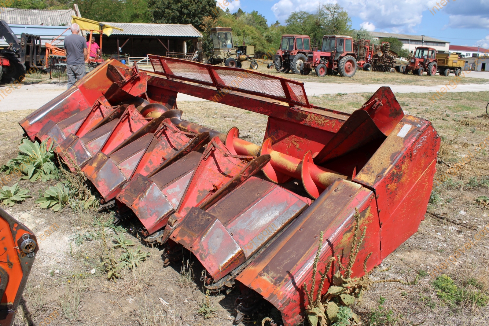 Vágóasztal - Kukorica 4