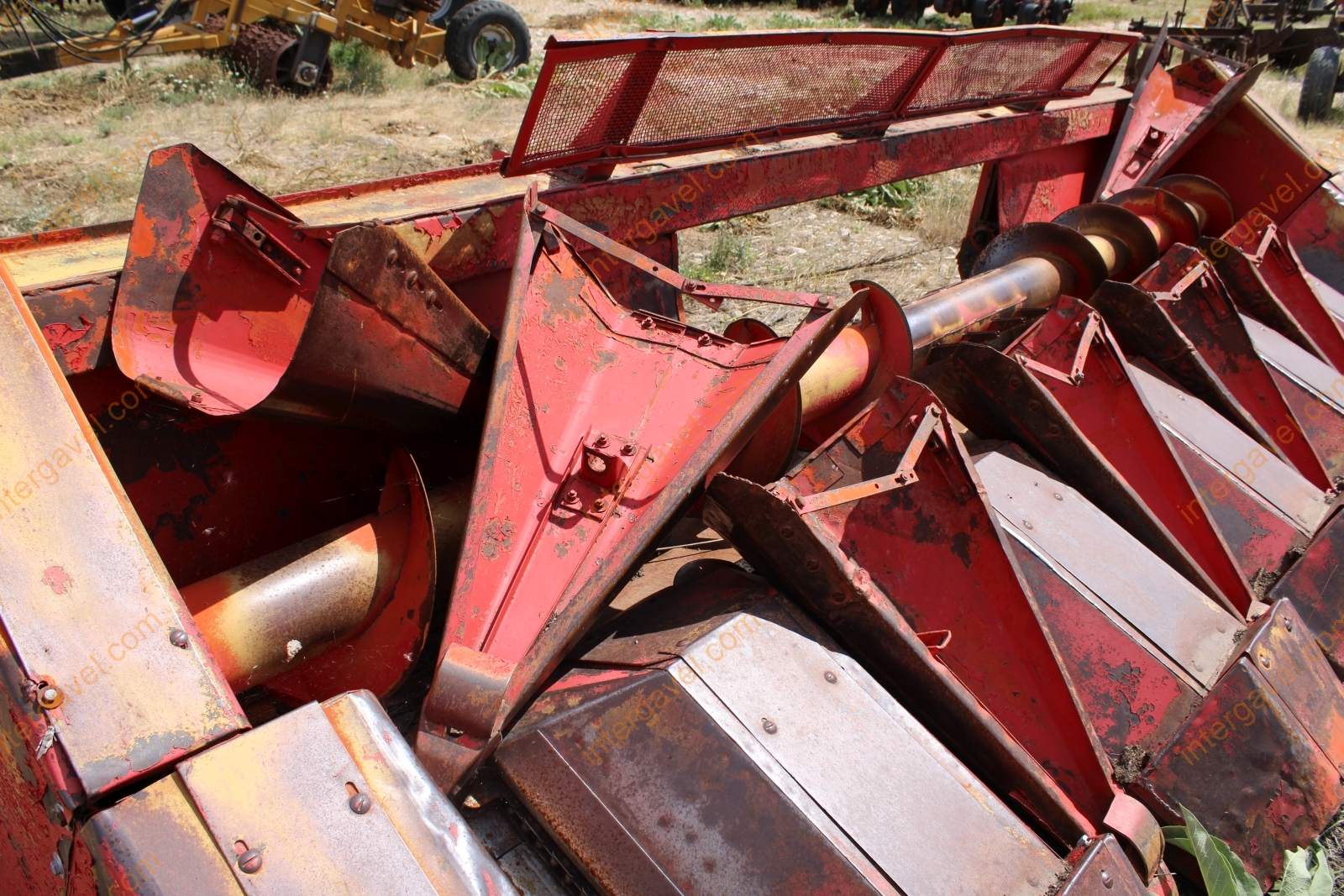 Vágóasztal - Kukorica 5