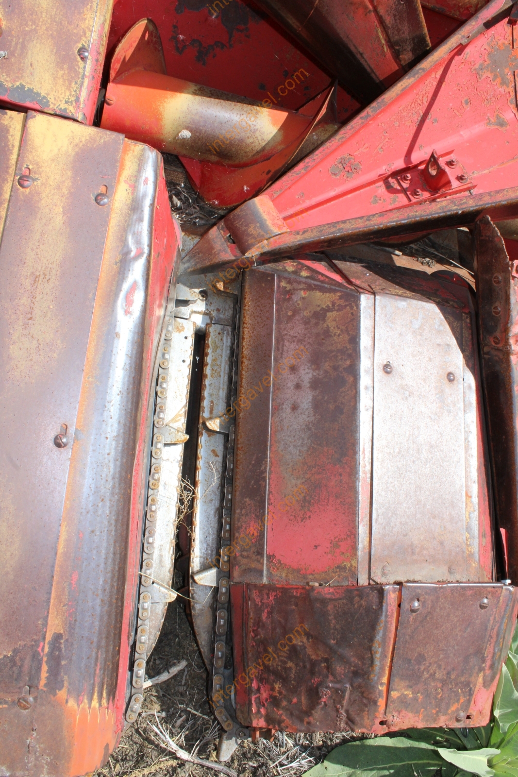 Vágóasztal - Kukorica 6