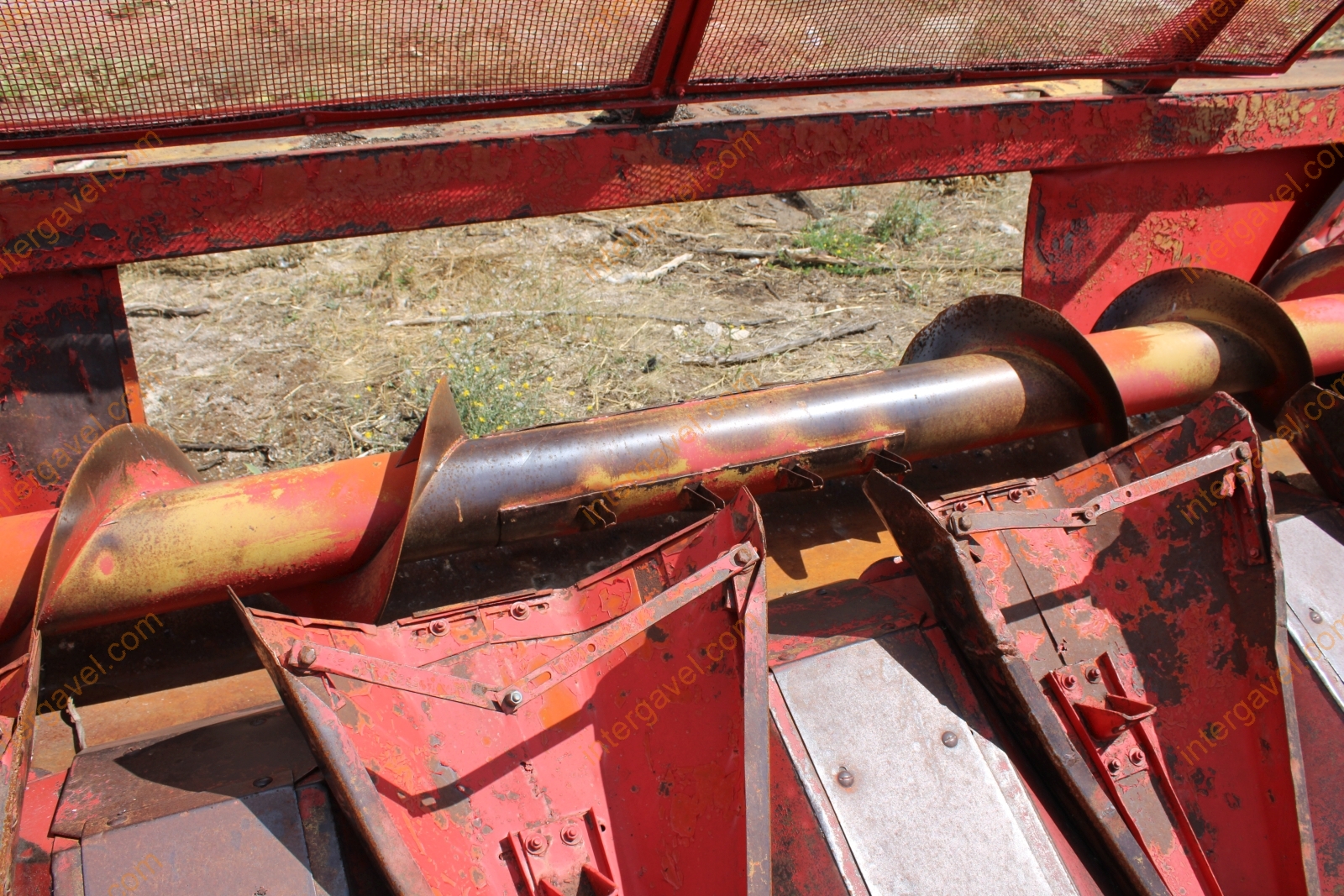 Vágóasztal - Kukorica 7