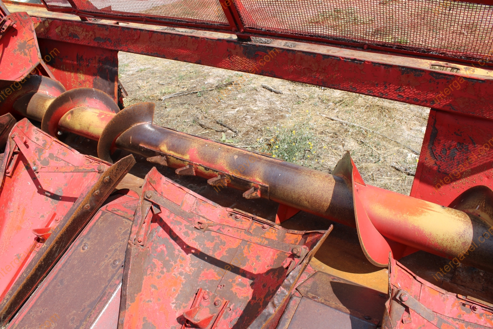 Vágóasztal - Kukorica 9