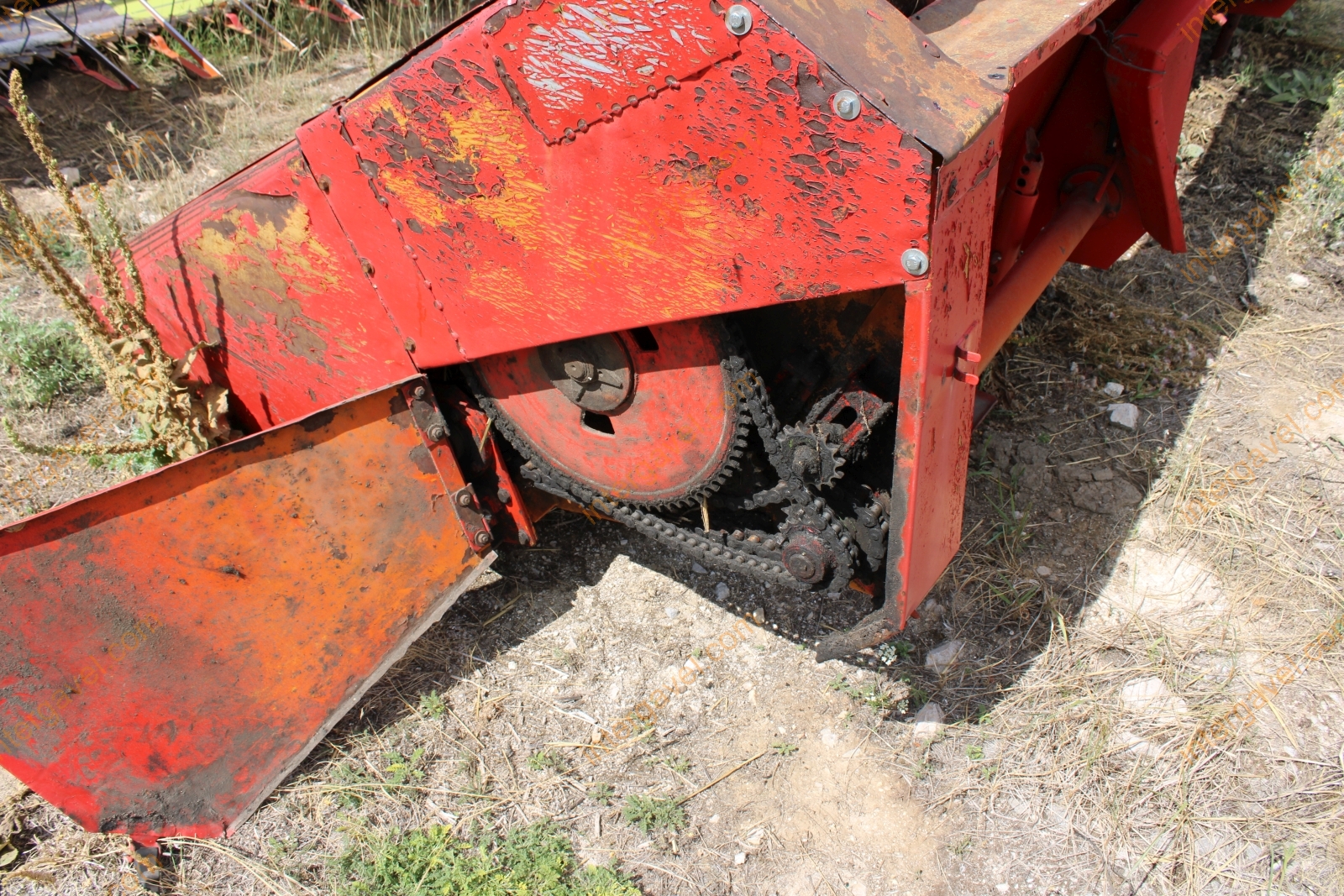 Vágóasztal - Kukorica 11