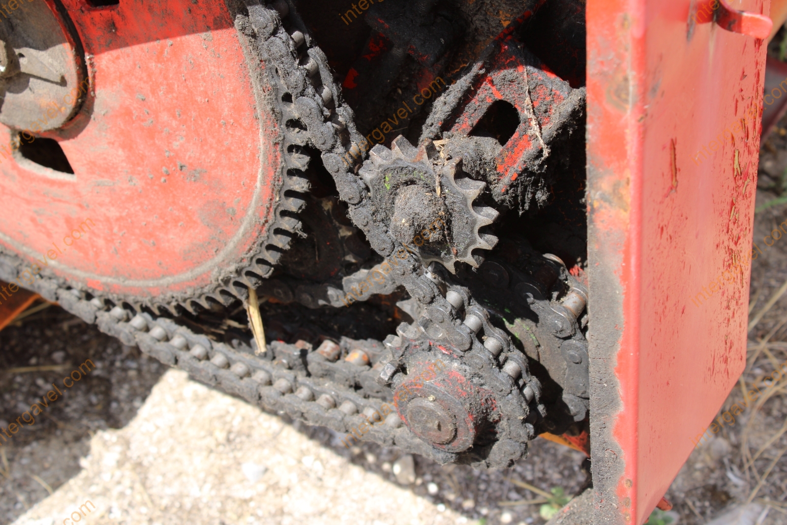 Vágóasztal - Kukorica 12