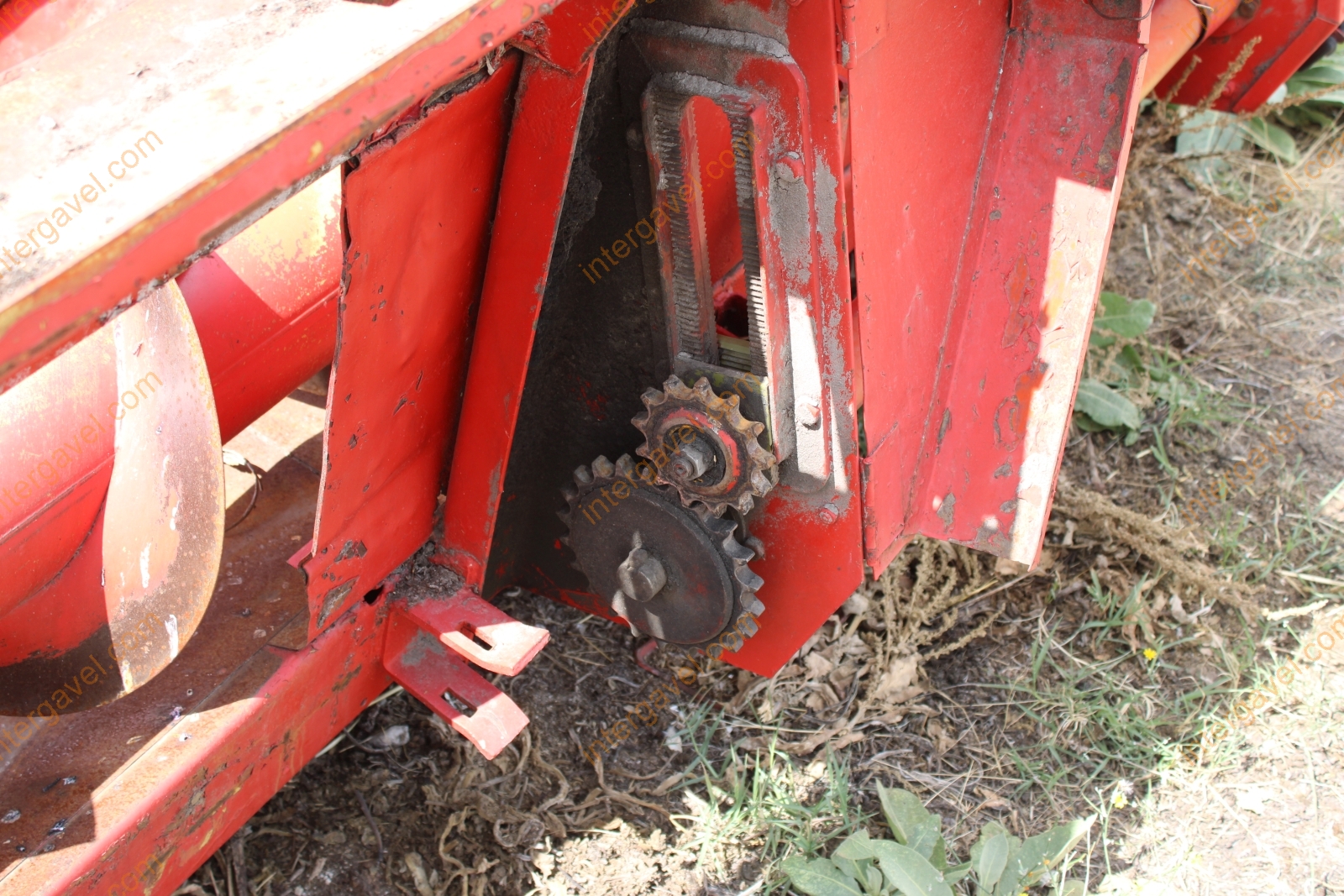 Vágóasztal - Kukorica 13