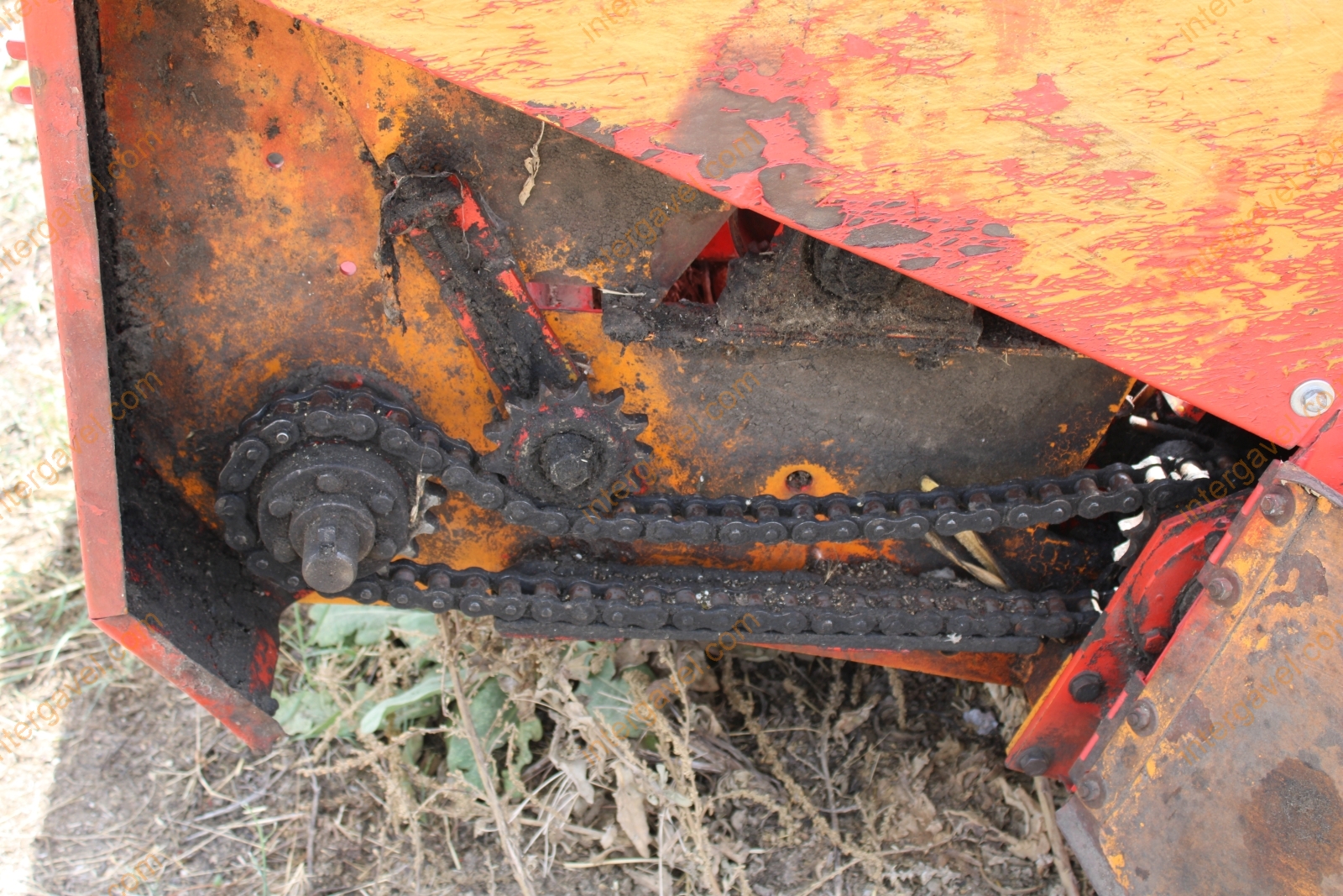 Vágóasztal - Kukorica 14