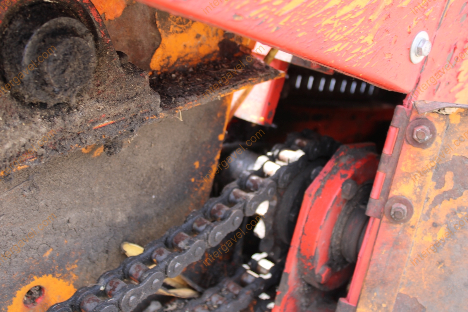 Vágóasztal - Kukorica 15