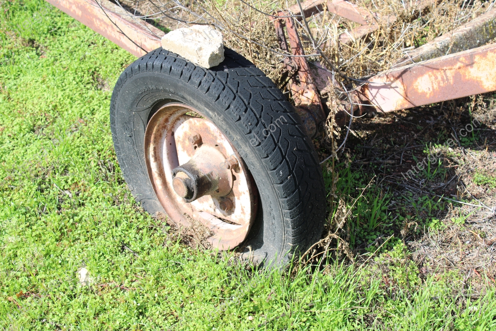 Szállítószalag 12