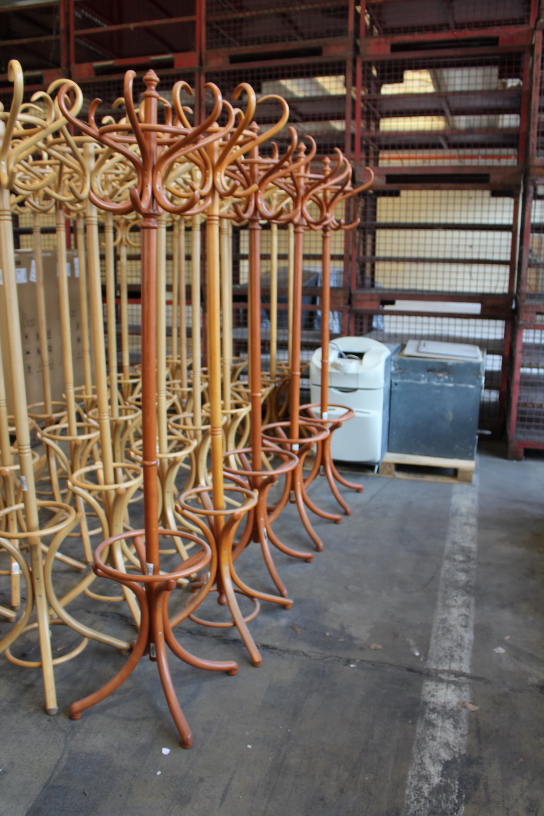 Fogas (cseresznye) 1