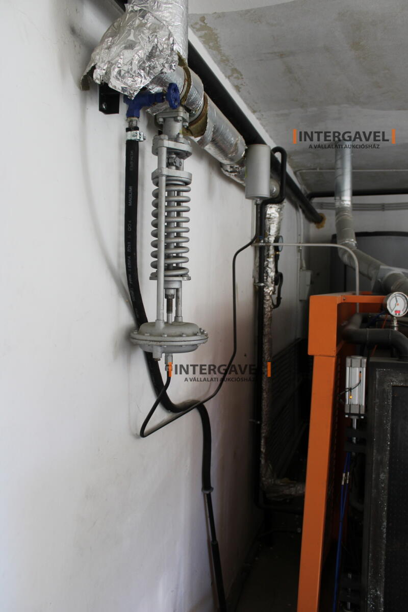 Polisztirol gyártósor 91